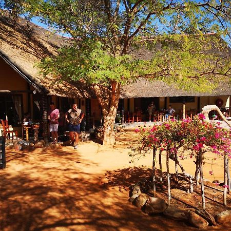 Vila Oppi-Koppi Rest Camp Kamanjab Exteriér fotografie